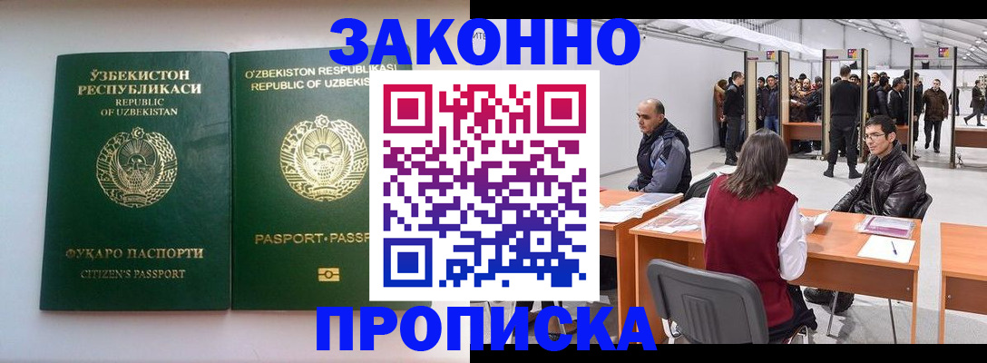 временная регистрация поиск в Невеле